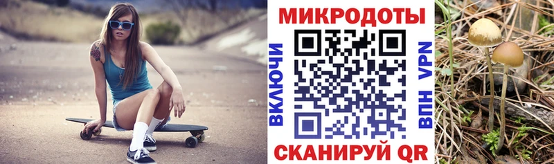 MEGA ссылки  Вязники  shop Telegram  Псилоцибиновые грибы Psilocybe 