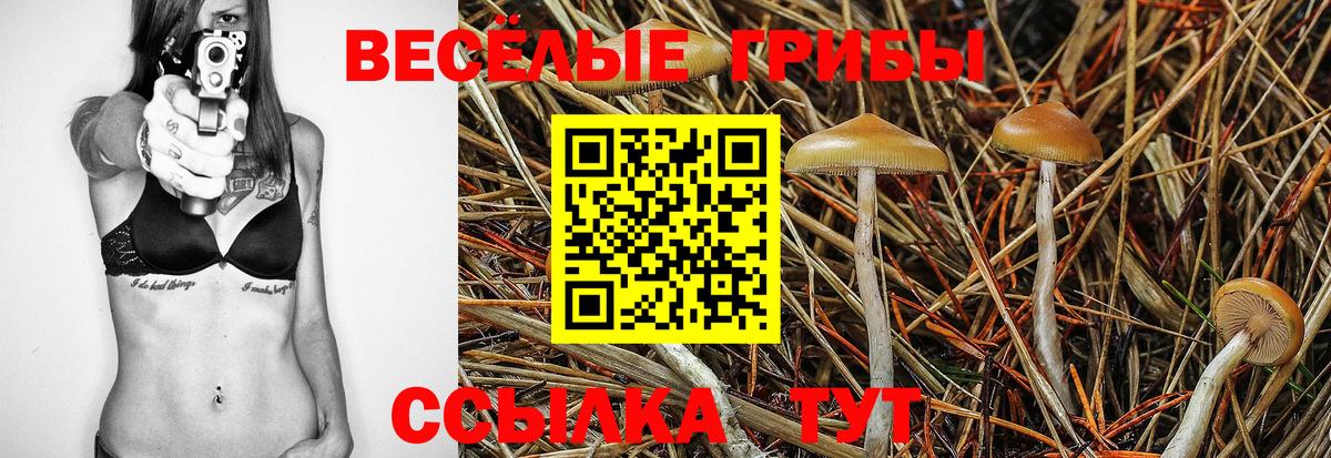 Кокаин Вязники