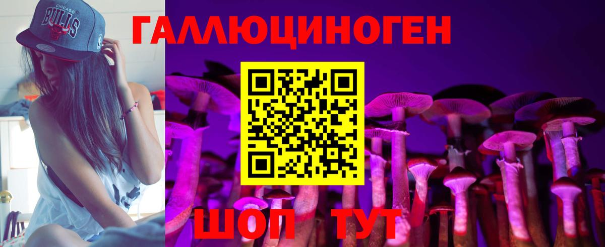 как найти   Галлюциногенные грибы Cubensis  Вход с VPN  Вязники 