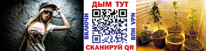 хочу наркоту  Вязники  МАРИХУАНА Amnesia 